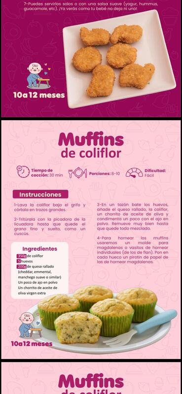 Página real del recetario Plan Nutribaby™