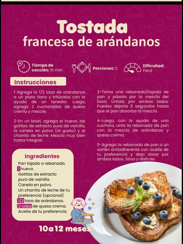 Página real del recetario Plan Nutribaby™