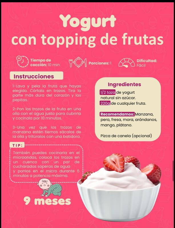 Página real del recetario Plan Nutribaby™