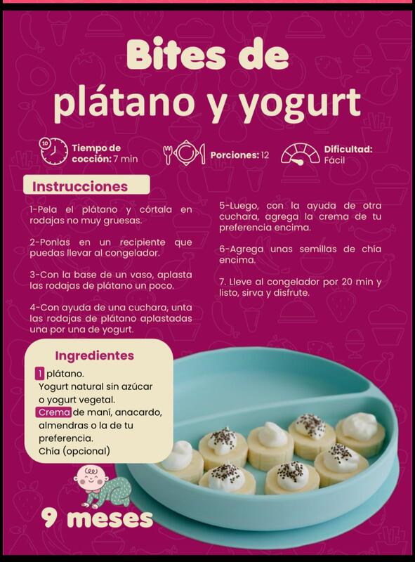 Página real del recetario Plan Nutribaby™